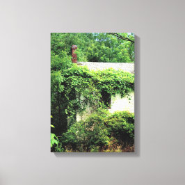 Lienzo Casa Blanca abandonada en los bosques