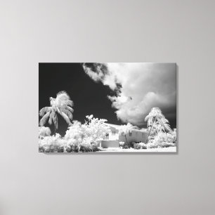 Lienzo Casa Florida Keys y sus palmeras, Estados Unidos.