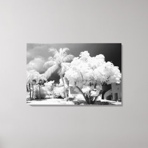 Lienzo Casa Florida Keys y sus palmeras, Estados Unidos.2