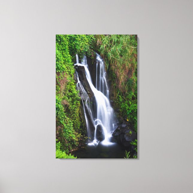 Lienzo Cascada, costa de Hamakua, Hawái (Anverso)