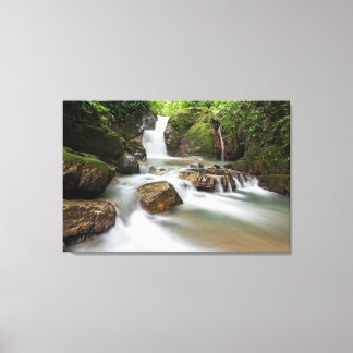 Lienzo Cascada de Ojochal, Costa Rica