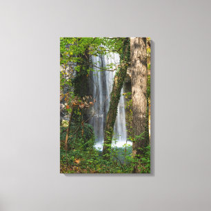 Lienzo Cascada En El Bosque