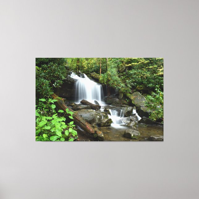 Lienzo Cascada en el Parque Nacional Smoky Mountain (Anverso)