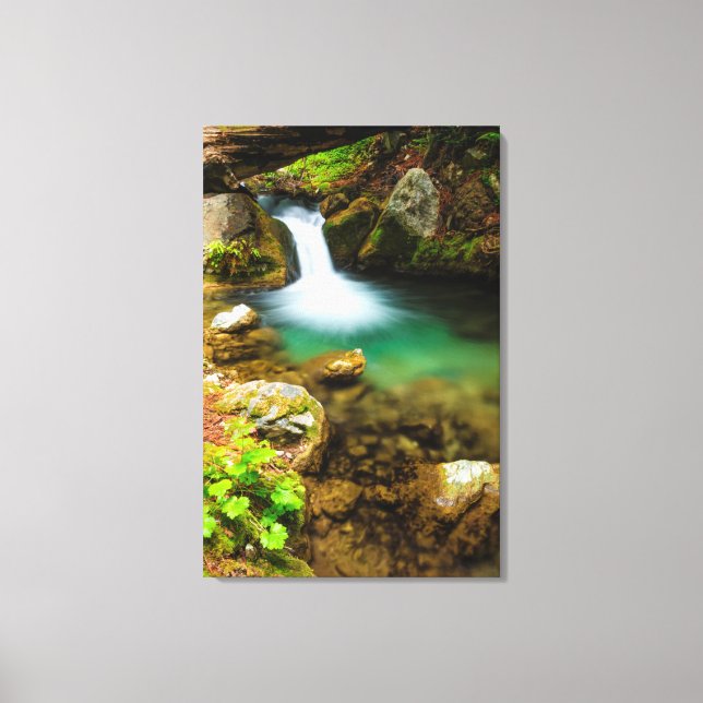 Lienzo Cascada en Hare Creek, California (Anverso)