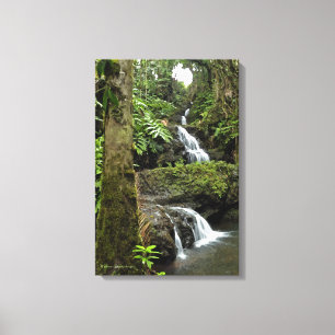 LIENZO "CASCADA EN JARDÍN TROPICAL HAWAIANO"