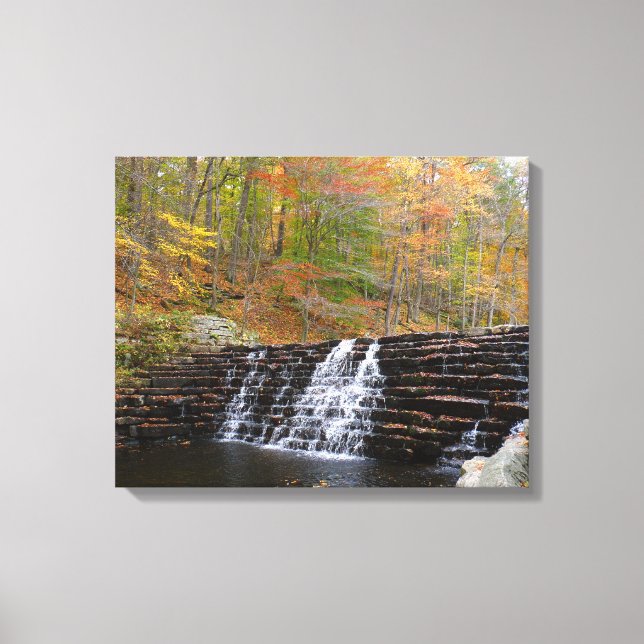 Lienzo Cascada en Laurel Hill State Park I (Anverso)