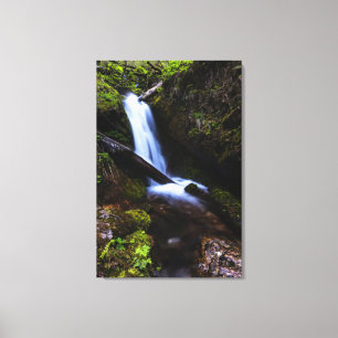 Lienzo Cascada en un bosque encantado