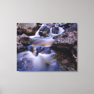 Lienzo Cascada Fish Creek cerca de Steamboat Springs Colo