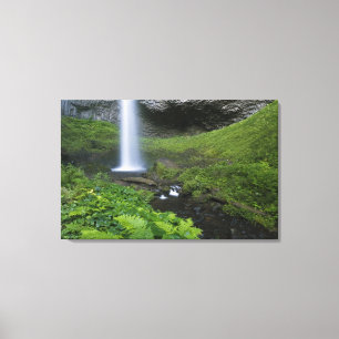 Lienzo Cascada Latourell, desfiladero del río Columbia, O