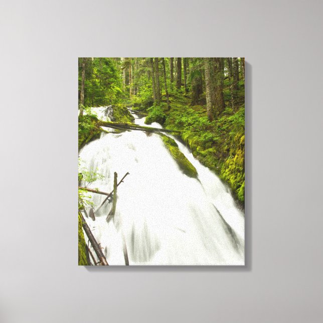 Lienzo Cascada Little Zig Zag | Bosque Nacional Monte Hoo (Anverso)