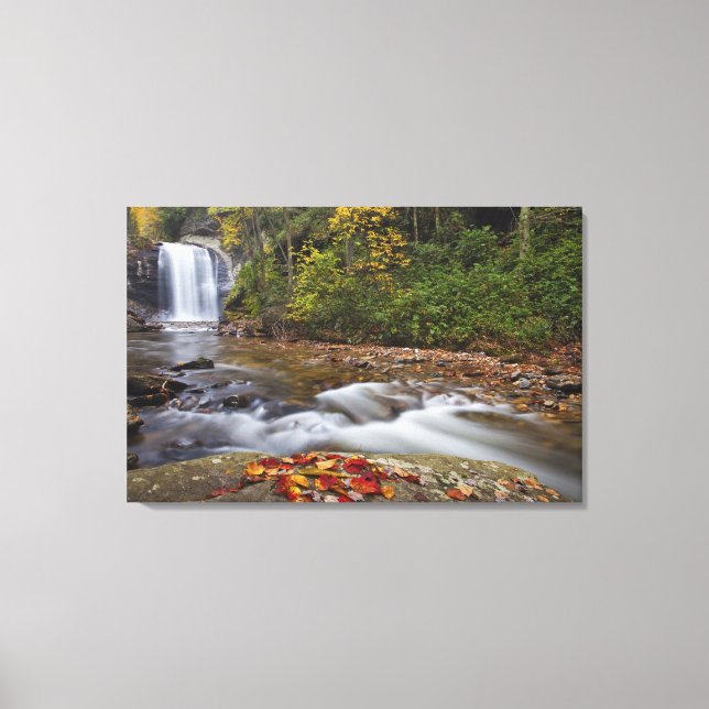 Lienzo Cascada Looking Glass en el Pisgah National (Anverso)