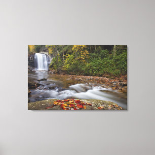 Lienzo Cascada Looking Glass en el Pisgah National