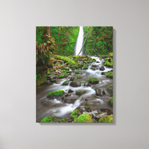 Lienzo Cascada Ruckel Creek, desfiladero del río Columbia