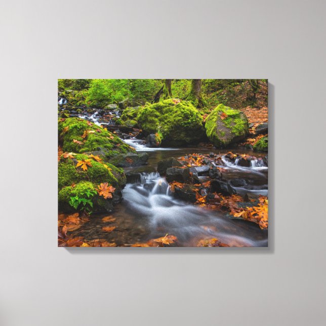Lienzo Cascada Starvation Creek | Desfiladero de Columbia (Anverso)