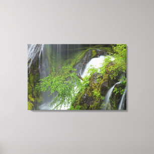 Lienzo Cascada Verde Escénica