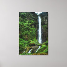 Cascada Verde Exuberante Tranquila Paisaje Indones