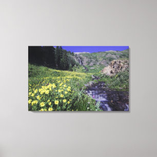 Lienzo Cascada y flores silvestres en prado alpino,