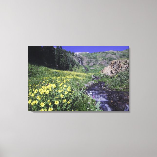 Lienzo Cascada y flores silvestres en prado alpino, (Anverso)