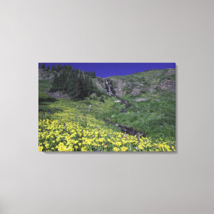 Lienzo Cascada y flores silvestres en prado alpino, 2