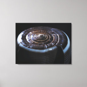 Lienzo Cáscara del cono