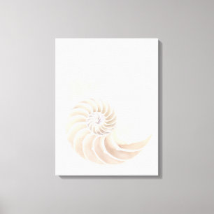 Lienzo Cáscara del nautilus, primer