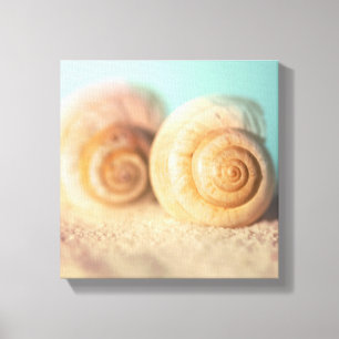 Lienzo Cáscaras del nautilus en la playa