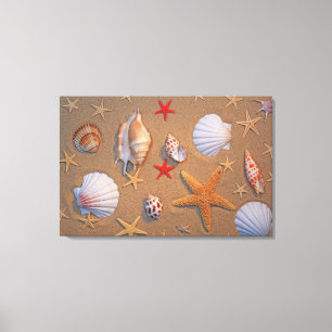 Lienzo Cáscaras y estrellas de mar del mar dispuestas en