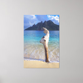 Lienzo CASTAWAY WOOD 40x60