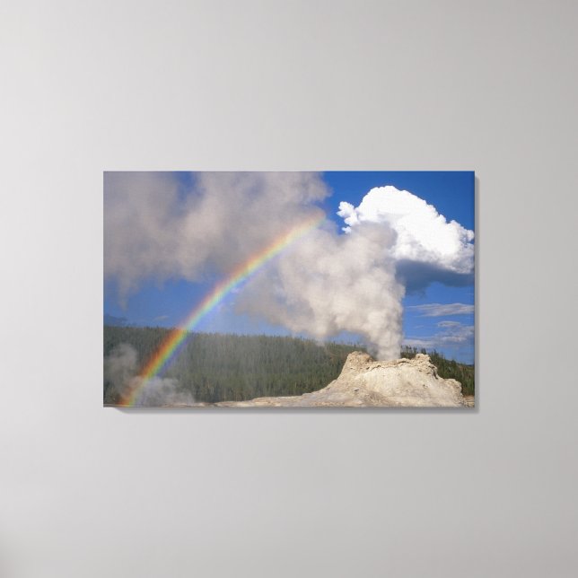 Lienzo Castillo Geyser con arcoiris, Yellowstone National (Anverso)