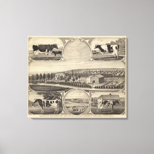 Lienzo Catalpa, Nebraska (Anverso)