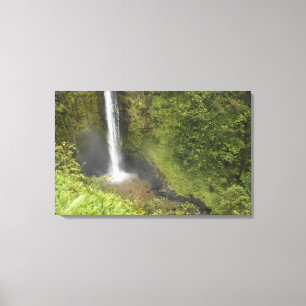 Lienzo Cataratas de Akaka, Costa de Hamakua, Isla de Hawa