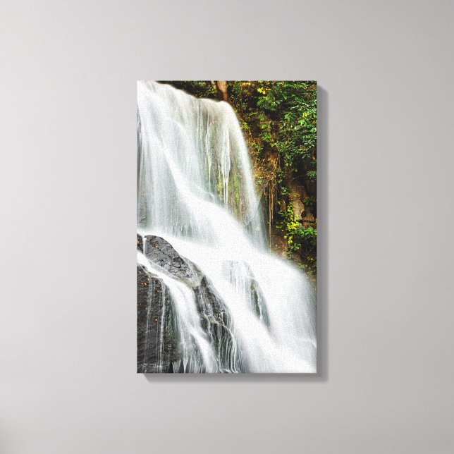 Lienzo Cataratas Eastatoe (Anverso)