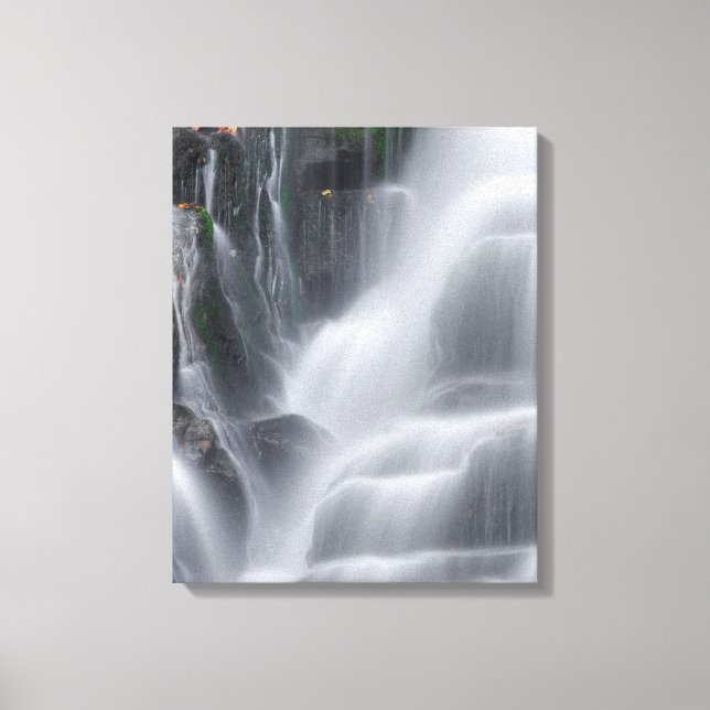 Lienzo Cataratas Eastatoe (Anverso)