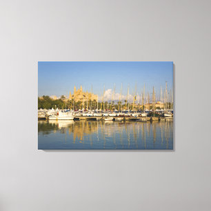 Lienzo Catedral y marina, Palma, Mallorca, España