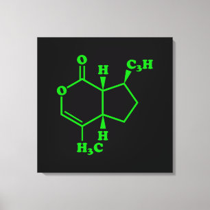 Lienzo Catnip Nepetalactona Fórmula Química Molecular