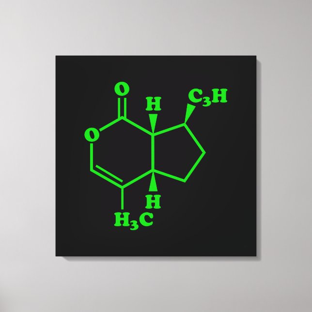 Lienzo Catnip Nepetalactona Fórmula Química Molecular (Anverso)