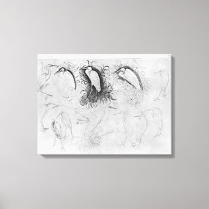 Lienzo Catorce egrets, el álbum de Vallardi