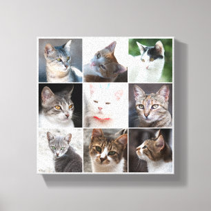Lienzo CATS - plantilla