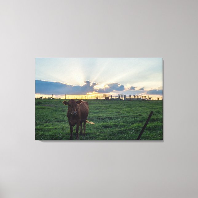 Lienzo Cattle Farm Sunset (Anverso)