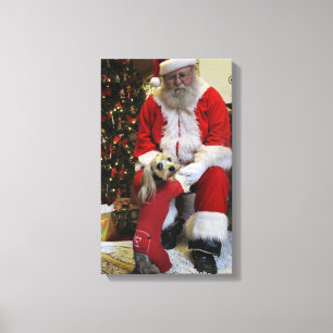 Lienzo Cauchutoso finalmente consigue resolver Santa