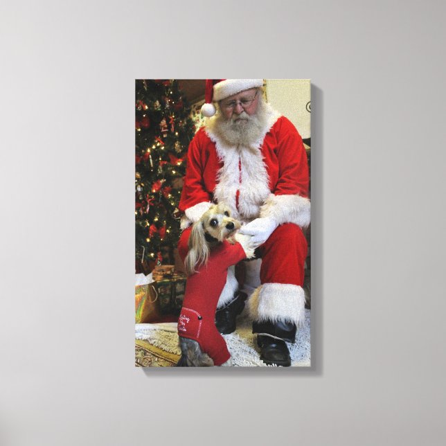 Lienzo Cauchutoso finalmente consigue resolver Santa (Anverso)