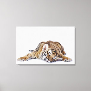 Lienzo Cautivo, Suráfrica 2