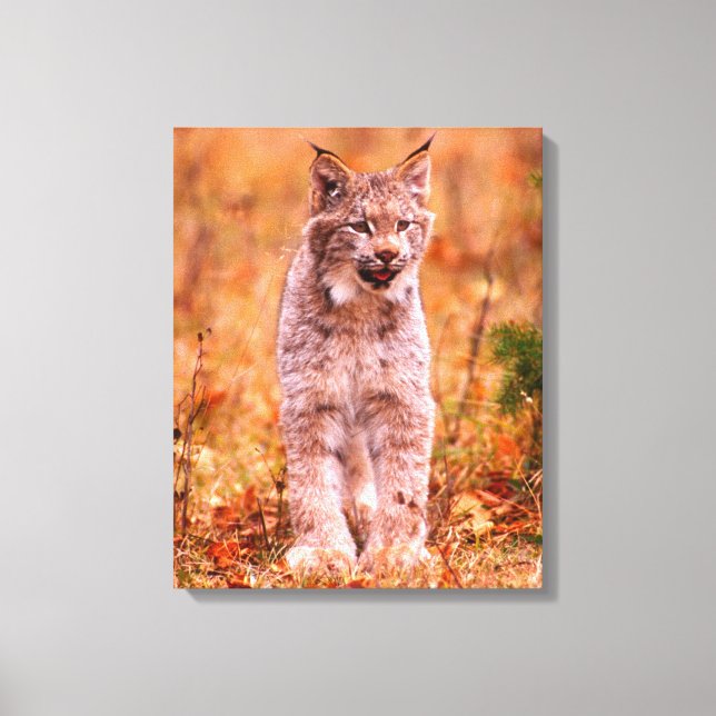Lienzo Caza de Linces | Bosque de Otoño (Anverso)