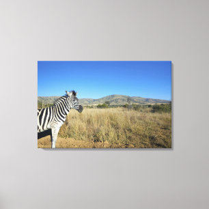 Lienzo Cebra en el llano abierto, parque nacional de
