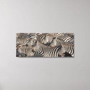 Lienzo Cebras, Kenia, África