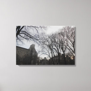 Lienzo Central Park, Nueva York, Estados Unidos