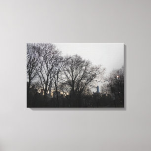 Lienzo Central Park, Nueva York, Estados Unidos