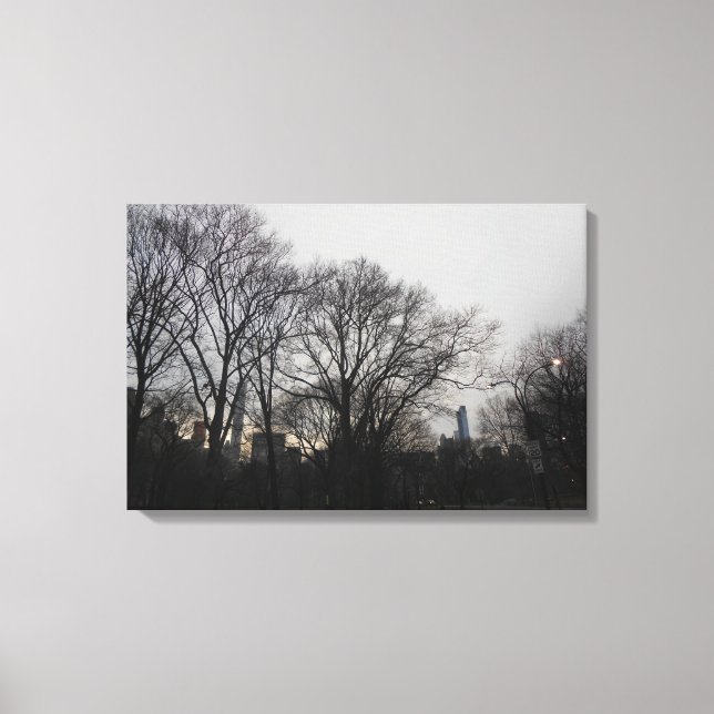 Lienzo Central Park, Nueva York, Estados Unidos (Anverso)