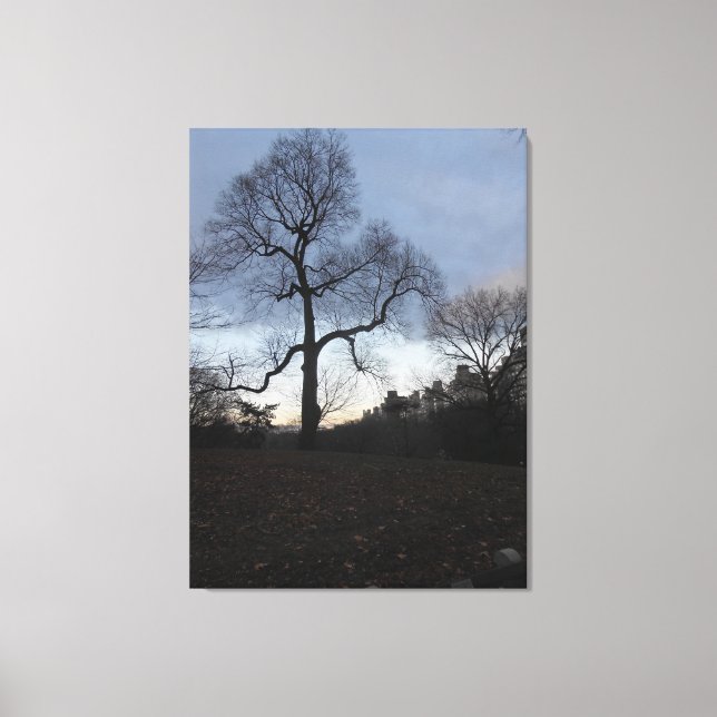 Lienzo Central Park. NYC (Anverso)