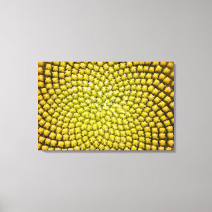 Lienzo Centro de girasol gigante (Helianthus annuus)